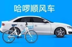 [详细教程]合肥企业咨询公司排名_哔哩哔哩-2